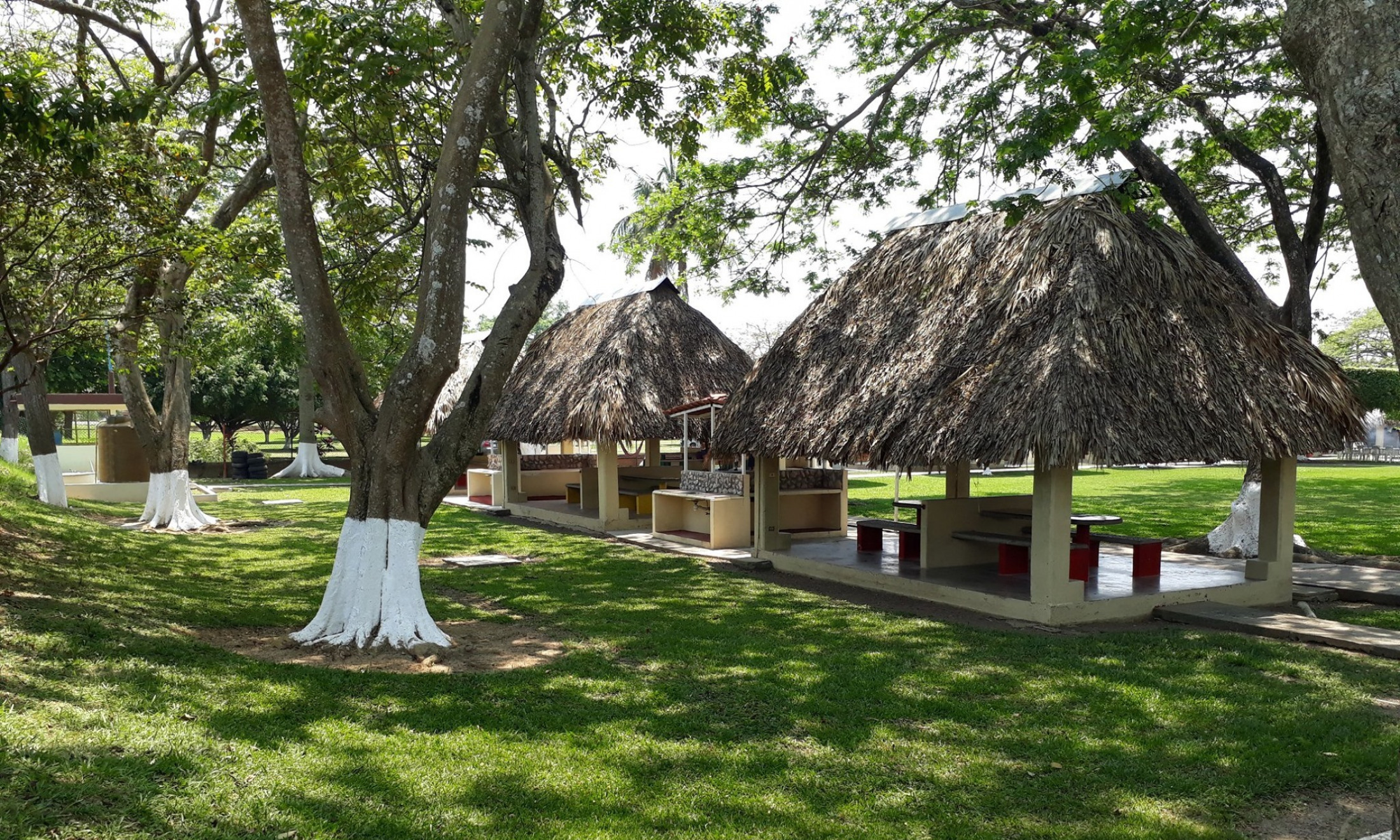 Club Deportivo Tabasco A.C._6